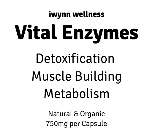 Digestive Enzymes