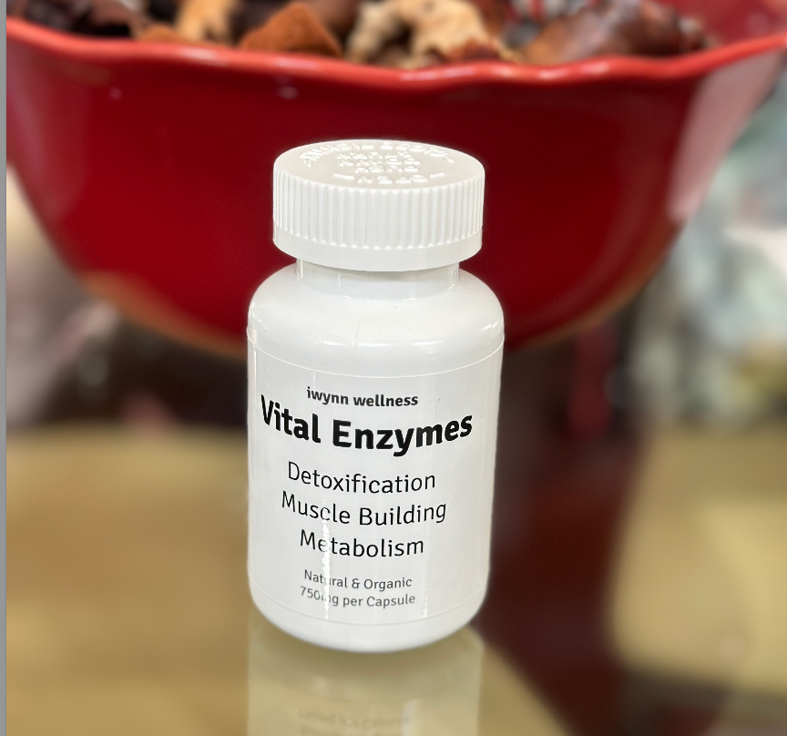 Digestive Enzymes